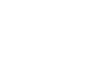 FESTIVAL